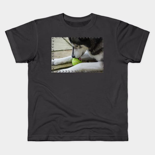 Husky Dog Kids T-Shirt by Nicole Gath Photography